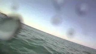 Shark Swimming under me surfing cape town