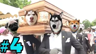 Dancing Funeral Coffin Meme - 🐶 Dogs and 😻 Cats Version #4