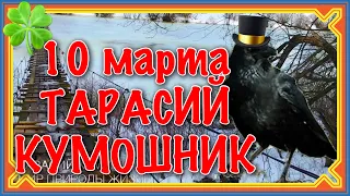 10 марта Тарасий Кумошник. Нельзя днём спать. Народные обычаи и поверья