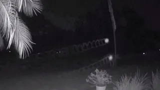 XKINET 56 Mysterious #orbs of light caught on #camera #flying through #Palm #Coast yard. USA.