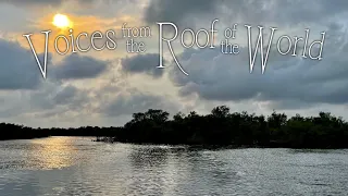 A Forest in Peril | Voices from the Roof of the World