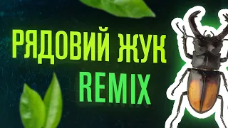 Рядовий Жук (Remix by Erase)