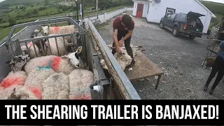 SHEARING SHEEP TO PAY FOR TRAILER REPAIRS!