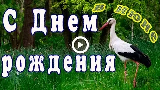 С Днем рождения в июне. Очень красивое поздравление.