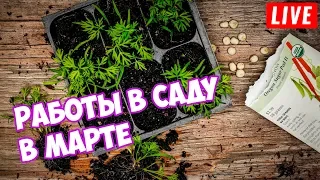 Основные работы в саду МАРТ 🌱 Обзор в прямом эфире