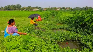 Fishing Video || You will be surprised to see the fishing talent of the village lady || Fish hunting