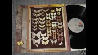 RARE TRACK : SIGNED BY THE TIME . MAYFLY , ARIOLA  LP 1973