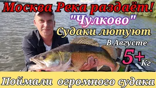 Август.. рыбалка на москва реке в ЧУЛКОВО.. опять раздача судаков !  ЖЕНЕ попался ГИГАНТ на 5+