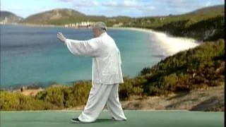 Tai Chi Yang 13 Form