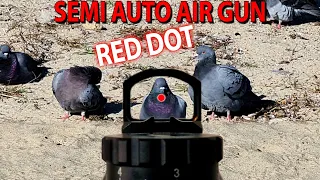 Shooting FRENZY with the Leshiy 2!! Reflex Gunsight vs. Pigeons