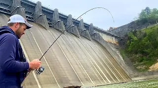 Fishing Below a Massive Dam For Anything That Will Bite!