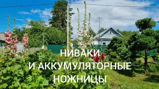 НИВАКИ и аккумуляторные ножницы.