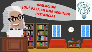 APELACIÓN QUÉ PASA EN UNA SEGUNDA INSTANCIA