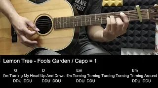 Lemon Tree - Fools Garden Guitar Tutorial Cover with Chords / Lyrics