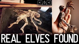 REAL elves and fairies found in a basement