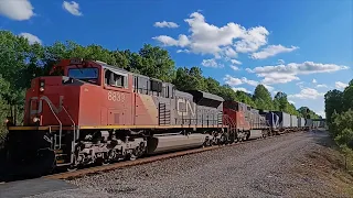 BIG "Windmill Moto Parts" Canadian National #8839 -#057 /BNSF DUO #5502 -#056 "Empty Windmill Stand"