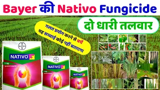 Nativo Fungicide | Bayer Nativo Hindi | Systemic fungicide | नेटिवो बायर | बैक्टीरिया साइट