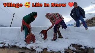 Amazing 😍 Village Life In Dandi Guttu|| A Life In Snow||Life In Winter ♥️||Jammu  Kashmir India.