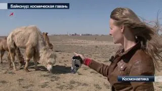 Байконур: космическая гавань. 2 часть.