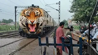 Dangerous Angry Tiger Headed Kota Janshatabdi Express Furious Aggressive Moving Throughout Railgate
