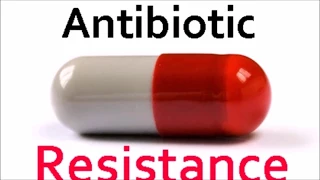 Is Antibiotic Resistance Evidence Of Evolution?