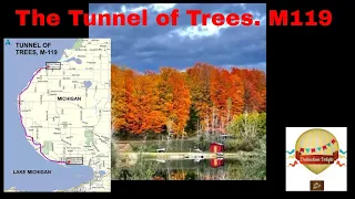 The Tunnel of trees M119 #PureMichigan#tunneloftrees#HarborSprings#CrossVillage