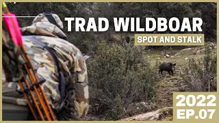 TRADITIONAL ARCHERY WILDBOAR 💥 BOWHUNTING PIGS SPOT AND STALK 💥 RECURVE BOW HUNTING [2022 EP.07]