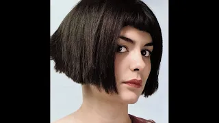 MUSIQUE du FILM - Le fabuleux destin d'Amélie Poulain - Yann TIERSEN