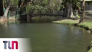 Encontraron un cuerpo flotando en los lagos de Palermo