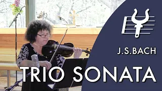 J.S.Bach: Trio Sonata No. 3, BWV 527: Andante (The Hailuoto Music Festival Baroque Quartet)