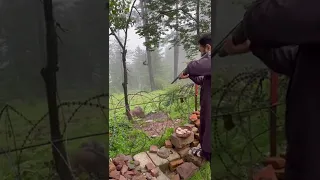 Wild boar hunting