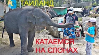 VLOG катаемся на слонах в Тайланде!  Кормим слонов бананами  Купание слонов