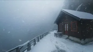 Epic Blizzard in Bavarian Alps┇Strong Wind Storm & Loud Snow Blowing┇Sounds for Sleep, Study & Relax