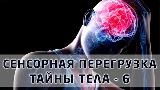 Органы чувств человека - Тайны тела 6 - Сенсорная перегрузка