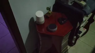 Minha Casa Inteligente usando: Google Home & Alexa