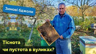 Зимові бджоли.Тіснота чи пустота в вуликах?