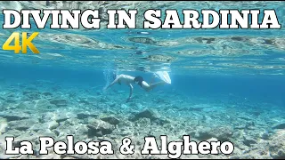 SNORKELING & SCUBA DIVING IN SARDINIA ITALY ALGHERO LA PELOSA STINTINO 4K GOPRO