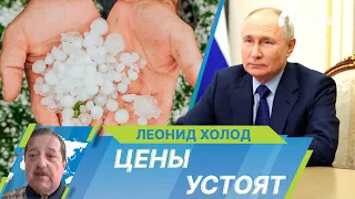 Путин поручил правительству не допустить скачков цен на сельхозпродукцию из-за майских заморозков