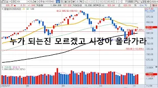 11-04 내일 관심종목 : 위드텍 / 센코