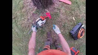 getting out of the tree