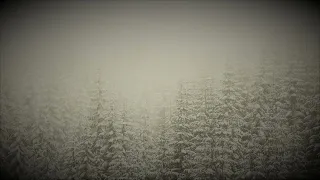 Звук метели / Шум вьюги / Звуки для сна / Sounds of a blizzard noise of a blizzard White noise