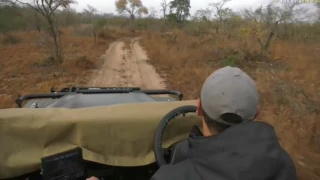 Aug 01, 2017-  Sunrise-  Ferrari Safari with Byron after Wild Dogs