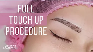 ✅ MICROBLADING with SHADING  Step-by step TOUCH UP PROCEDURE Tutorial
