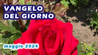 VANGELO DEL GIORNO : VENERDI' 10 MAGGIO 2024