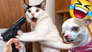 Funniest Cats And Dogs Videos 😋 Hilarious Animals 2024 🐾#5