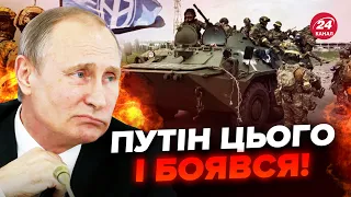 На Росії ТРИВОЖНО! Добровольці на ТАНКАХ пруть на РФ / Путіна чекає ПАНІЧНА АТАКА: вибори ЗІРВУТЬ?