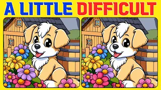 【Spot & Find the 3 Differences : A Little Difficult】Test Your Eyes: Find the Difference Now!