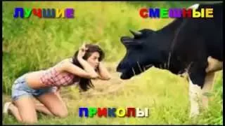 ЛУЧШЕЕ СМЕШНОЕ ВИДЕО УБОЙНЫЕ РЖАЧНЫЕ ПРИКОЛЫ BEST FUNNY VIDEO