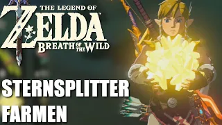 Sternsplitter Farmen in Zelda: BotW