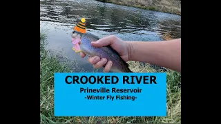 Crooked River & Prineville Reservoir Fly Fishing Winter 2020 & Methods Used Central Oregon